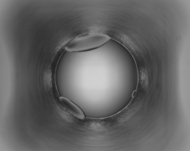 X0000113090684200909041149