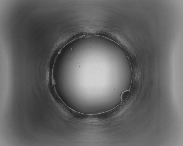 X0000113090685200909041149