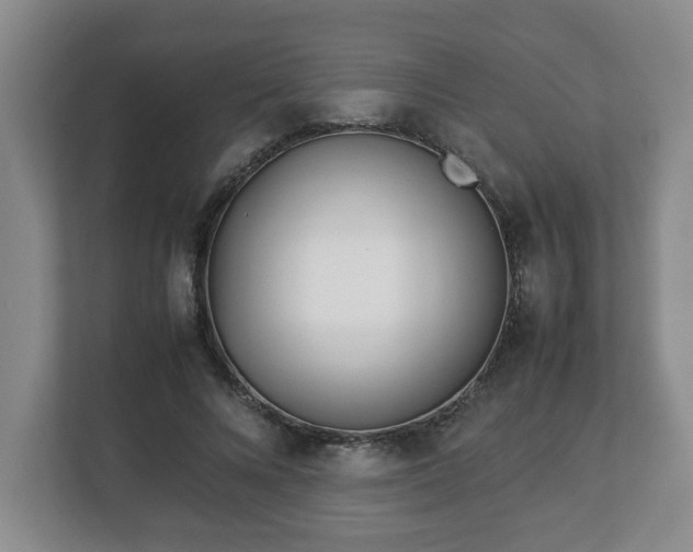 X0000113090688200909041149