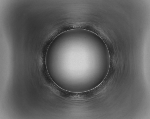 X0000113090691200909041149
