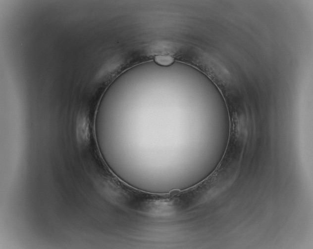 X0000113090692200909041149