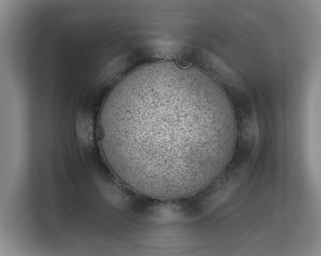 X0000113090696200909041149