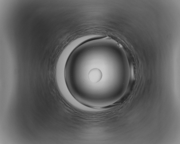 X0000113090701200909041149