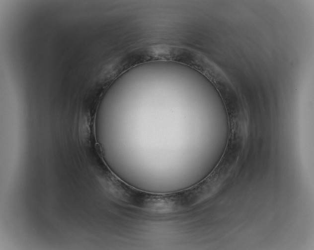 X0000113090702200909041149