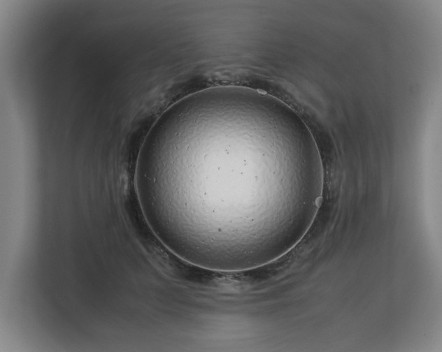 X0000113090703200909041149