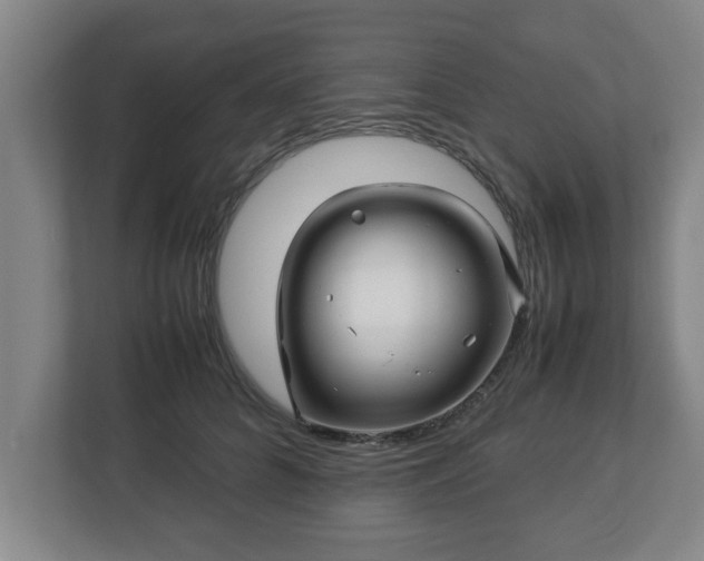 X0000113090704200909041149