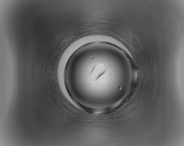 X0000113090713200909041149