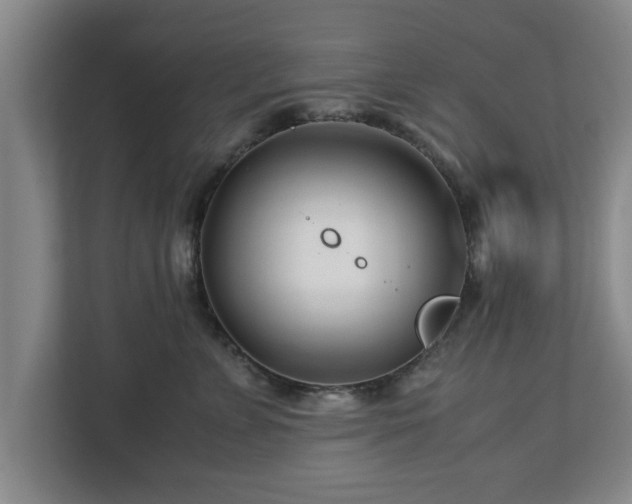 X0000113090715200909041149