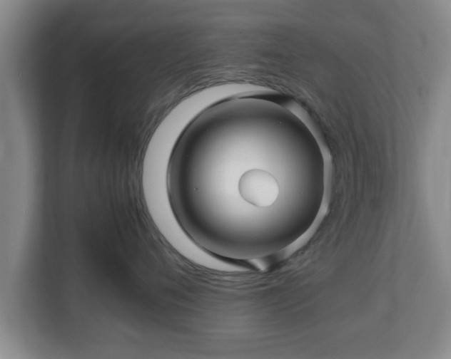 X0000113090720200909041149