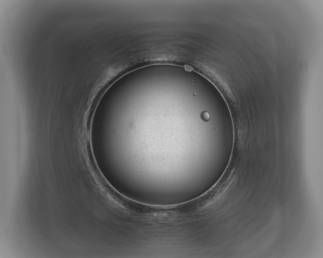 X0000113090721200909041148