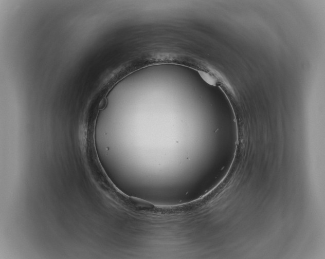 X0000113090722200909041148
