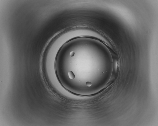 X0000113090724200909041148