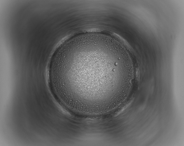 X0000113090725200909041148