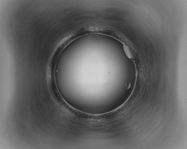 X0000113090727200909041148