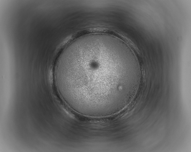 X0000113090729200909041148