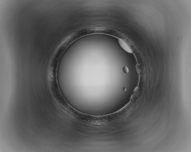 X0000113090731200909041148