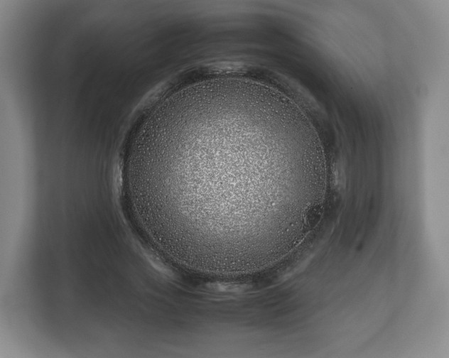 X0000113090733200909041148