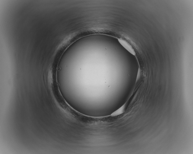 X0000113090734200909041148