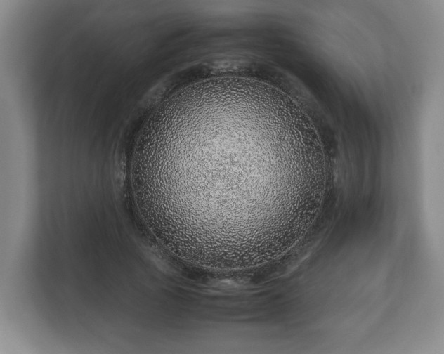 X0000113090737200909041148