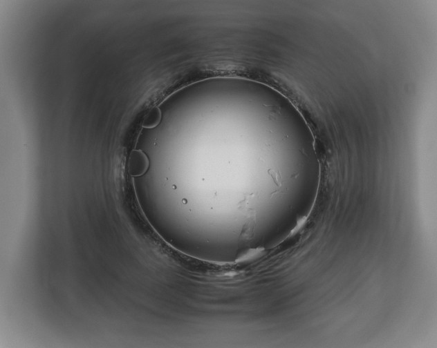 X0000113090739200909041148