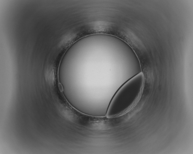 X0000113090740200909041148
