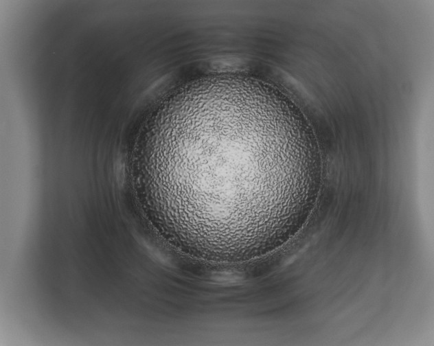 X0000113090741200909041148