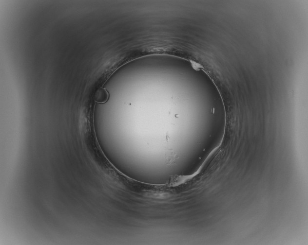 X0000113090743200909041148