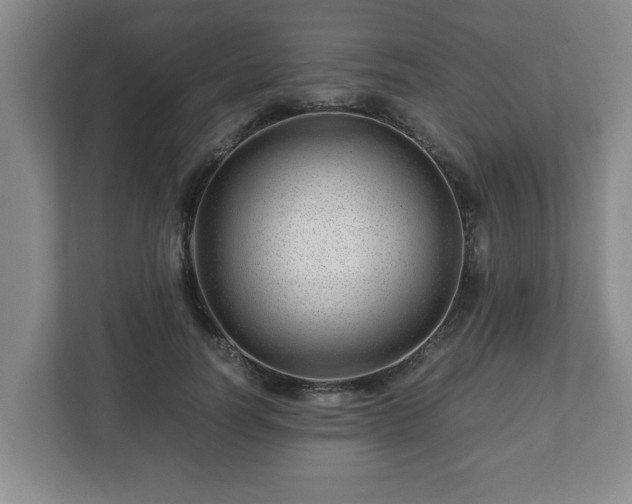 X0000113090746200909041149