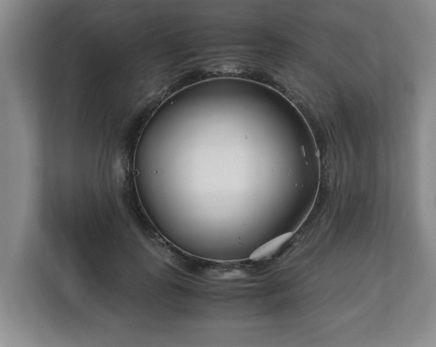 X0000113090747200909041149