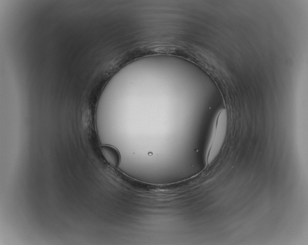 X0000113090748200909041149