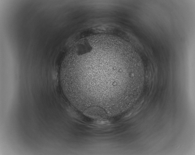 X0000113090749200909041149