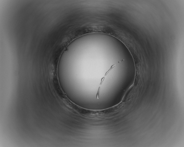 X0000113090752200909041149