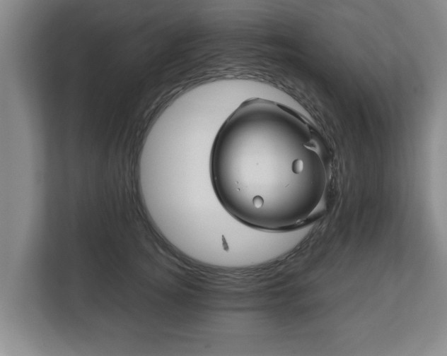 X0000113090756200909041149