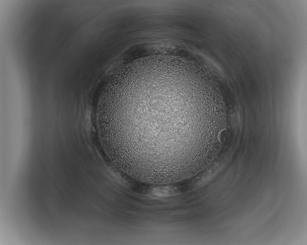 X0000113090757200909041149