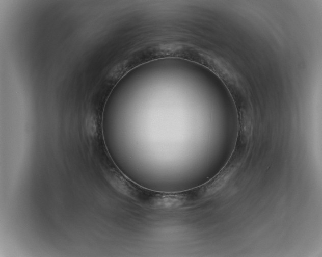 X0000113090758200909041149