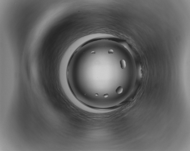 X0000113090762200909041149