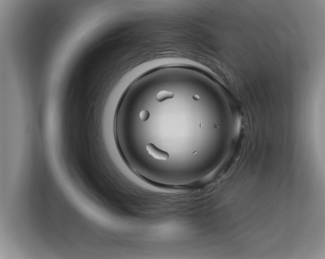 X0000113090764200909041149