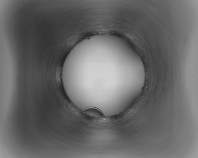 X0000113090768200909041149