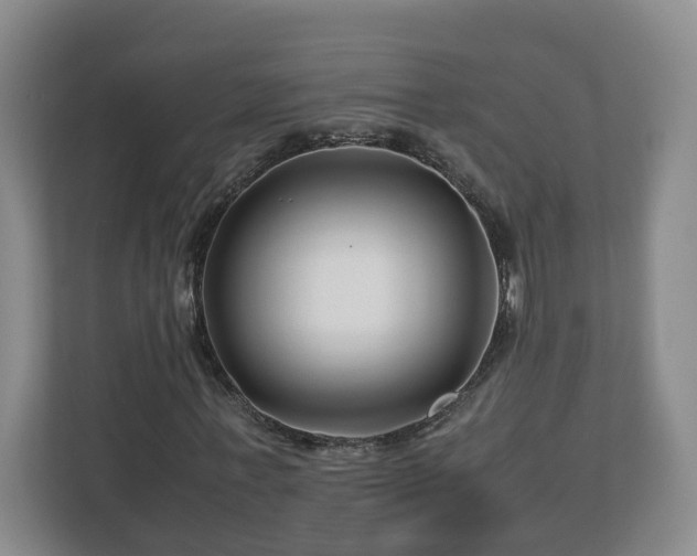 X0000113090771200909041148