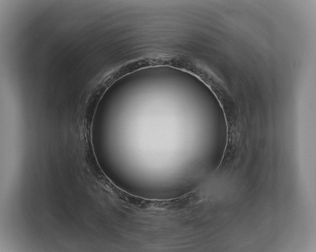 X0000113090773200909041148