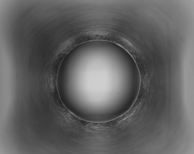 X0000113090774200909041148