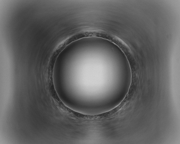 X0000113090775200909041148