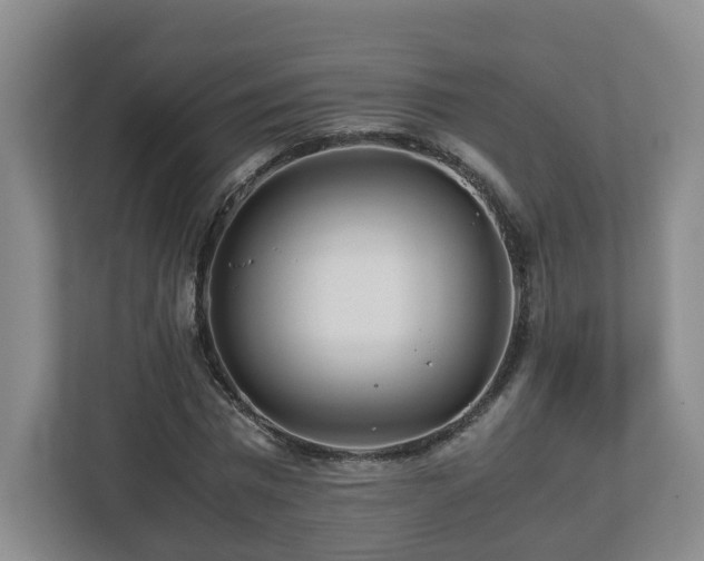 X0000113090777200909041148