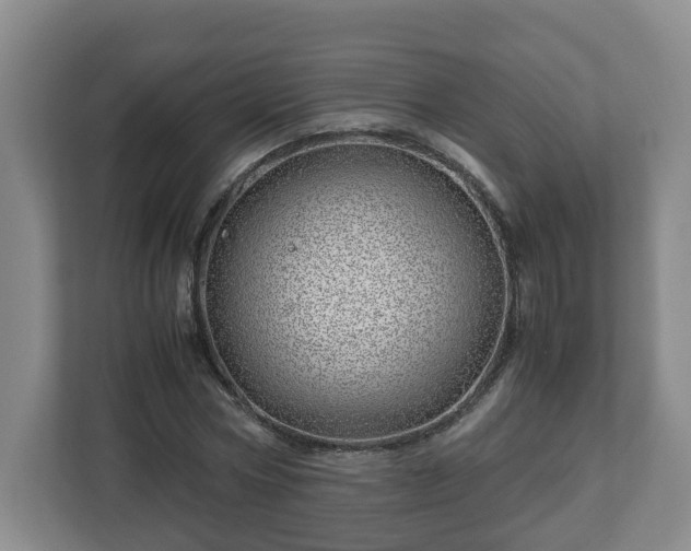 X0000113090778200909041148