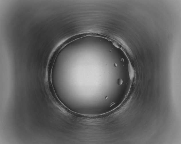 X0000113090780200909041148