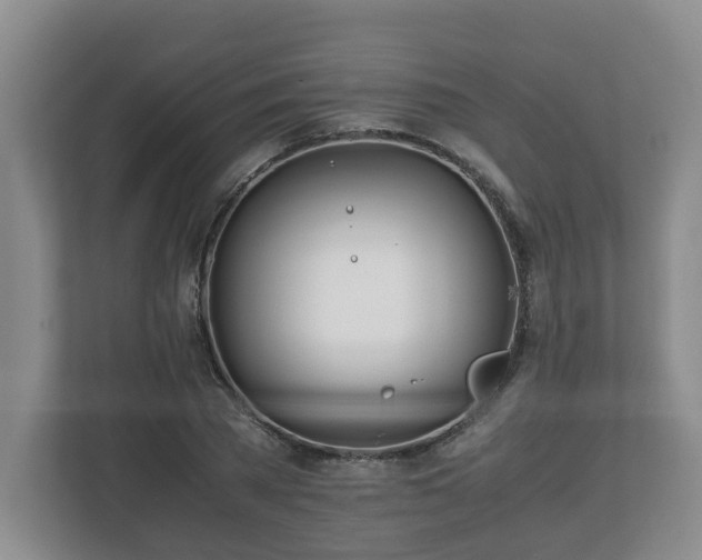 X0000113090785200909041148