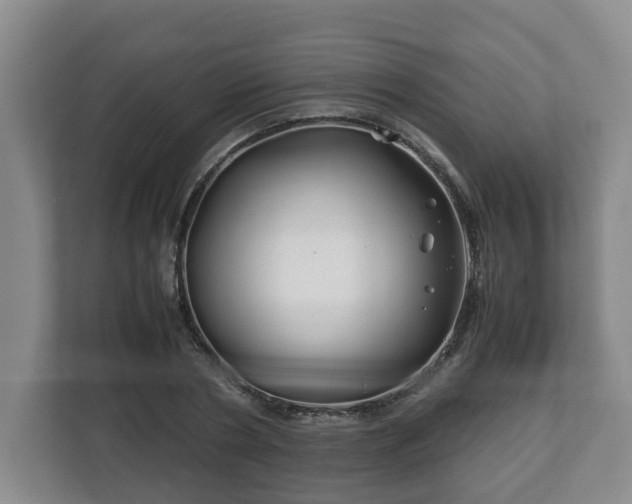 X0000113090786200909041148