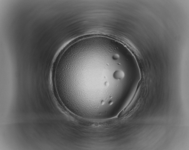 X0000113090788200909041148