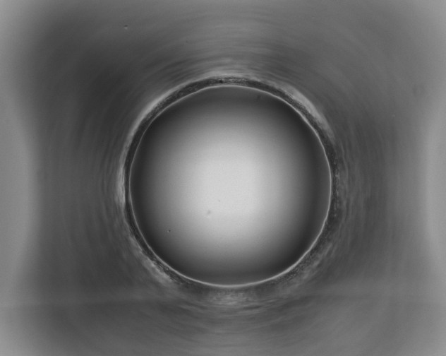 X0000113090791200909041148