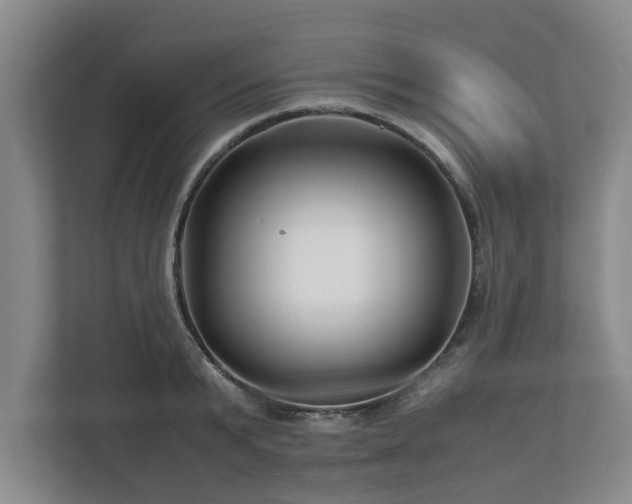 X0000113090799200909041148